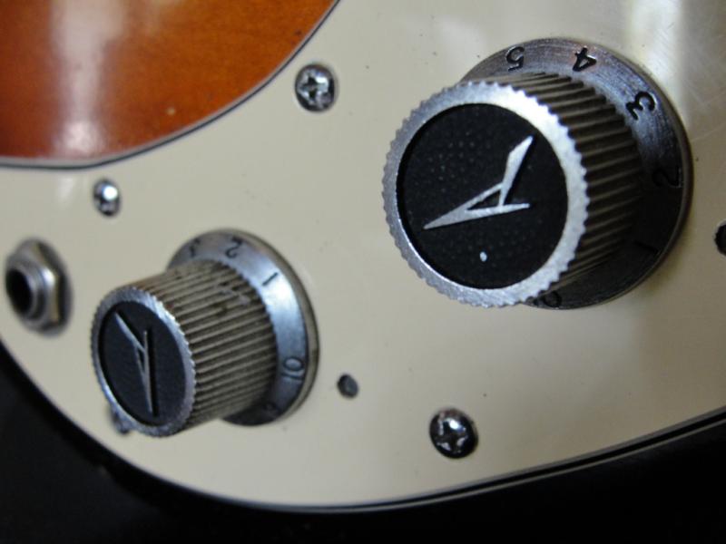 Peavey T-15 Guitar knobs