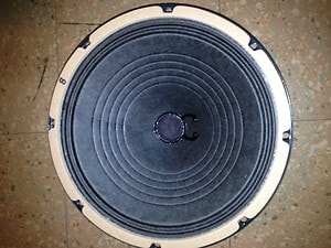 CTS 10" Alnico cone